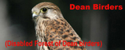 Dean Birders