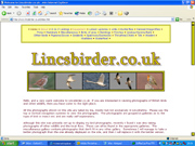 Lincs Birder